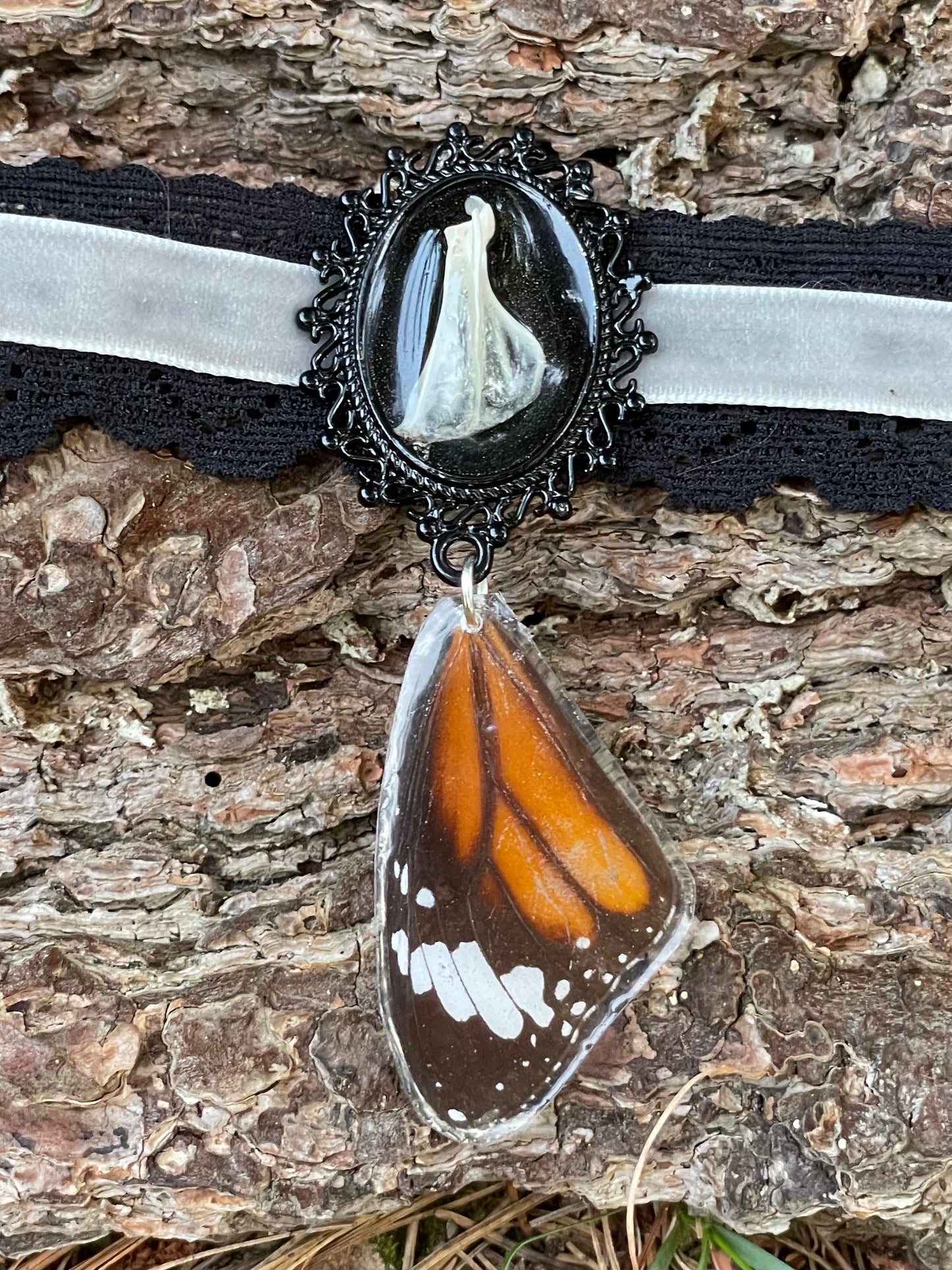 Vole Scapula Bone and Butterfly Wing Choker Necklace