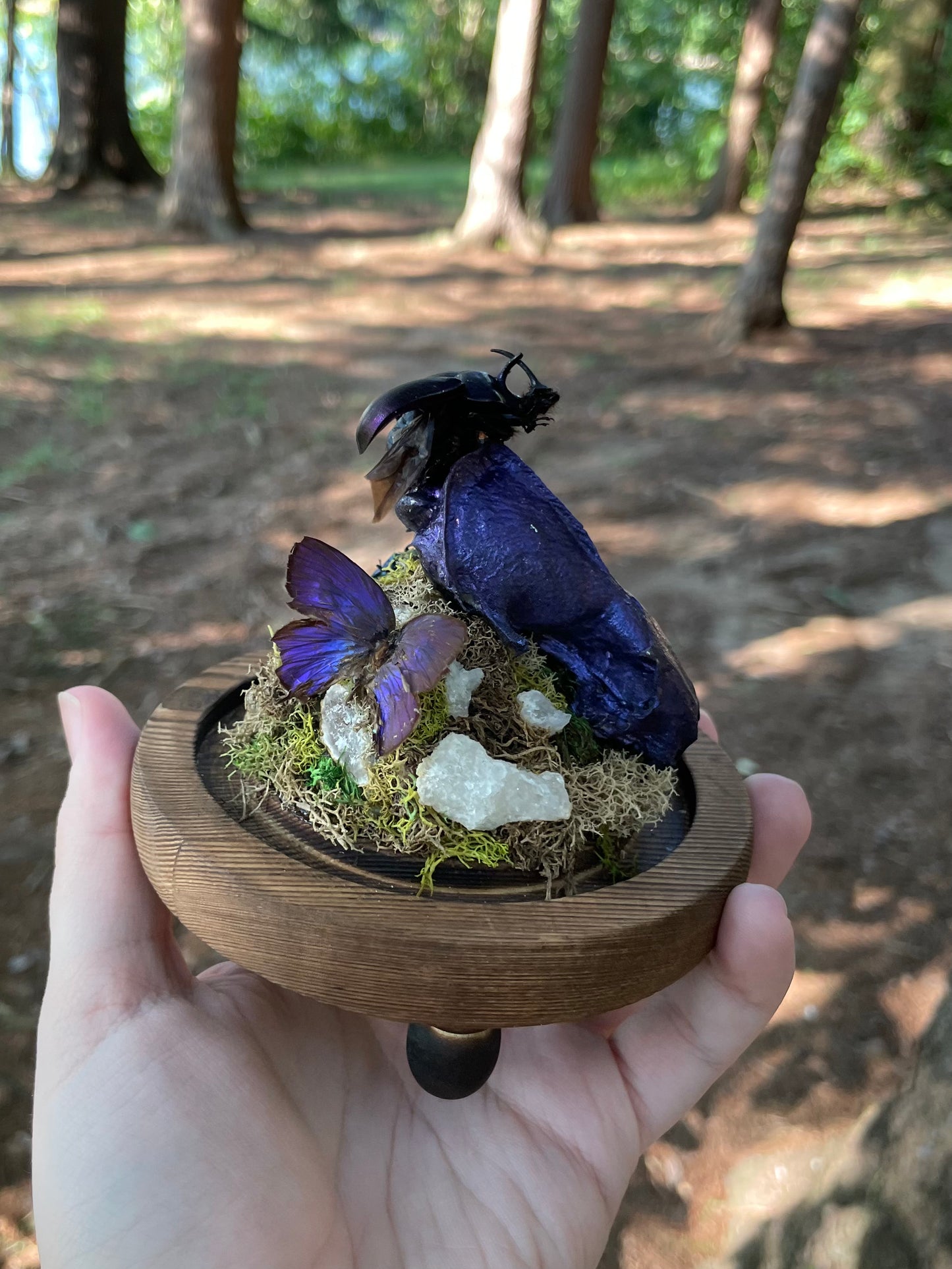 Iridescent Mink Skull, Beetle, and Butterfly Geode Cloche Display