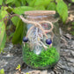 Green Flourite Butterfly Jar Displays