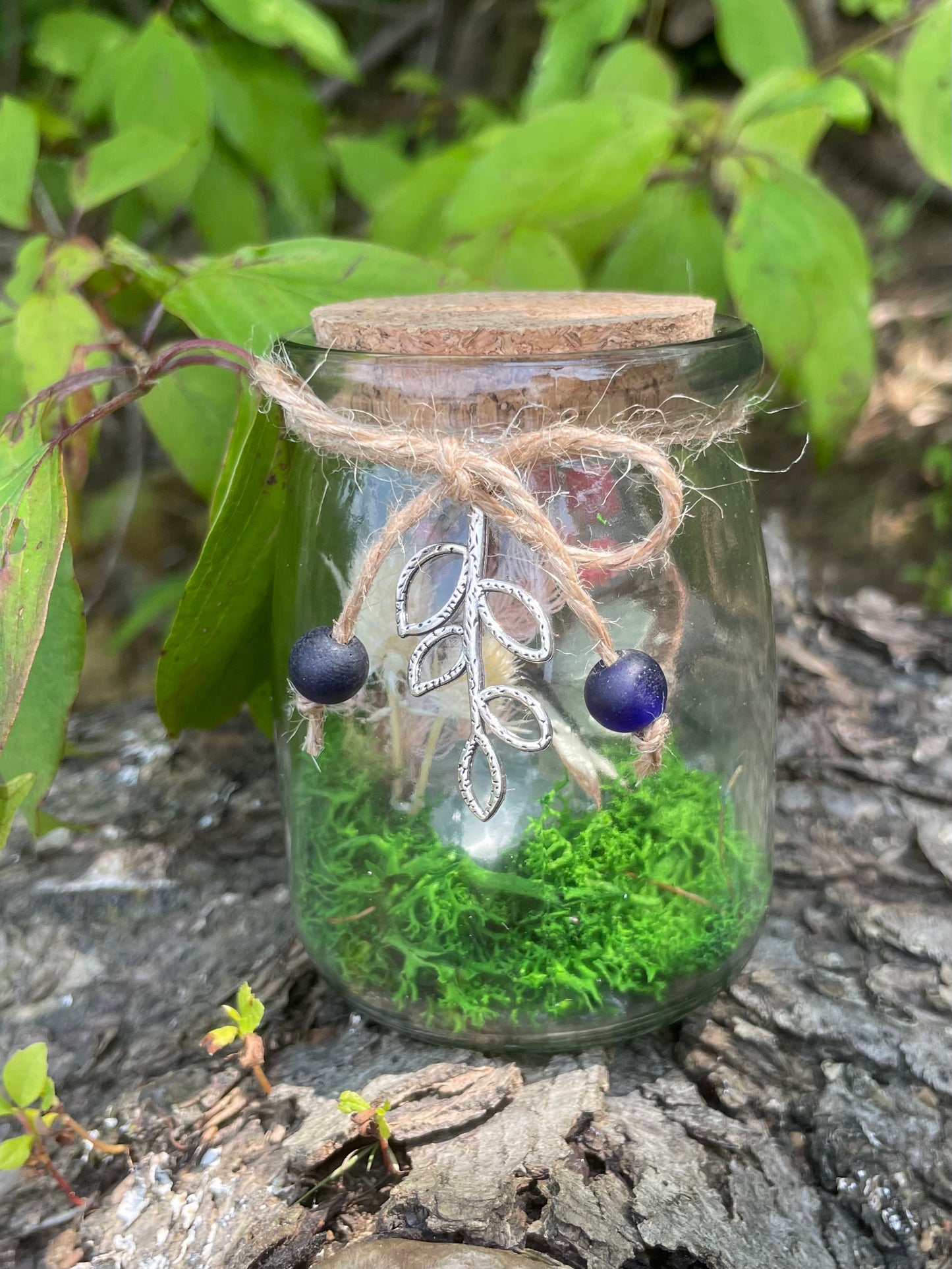 Green Flourite Butterfly Jar Displays