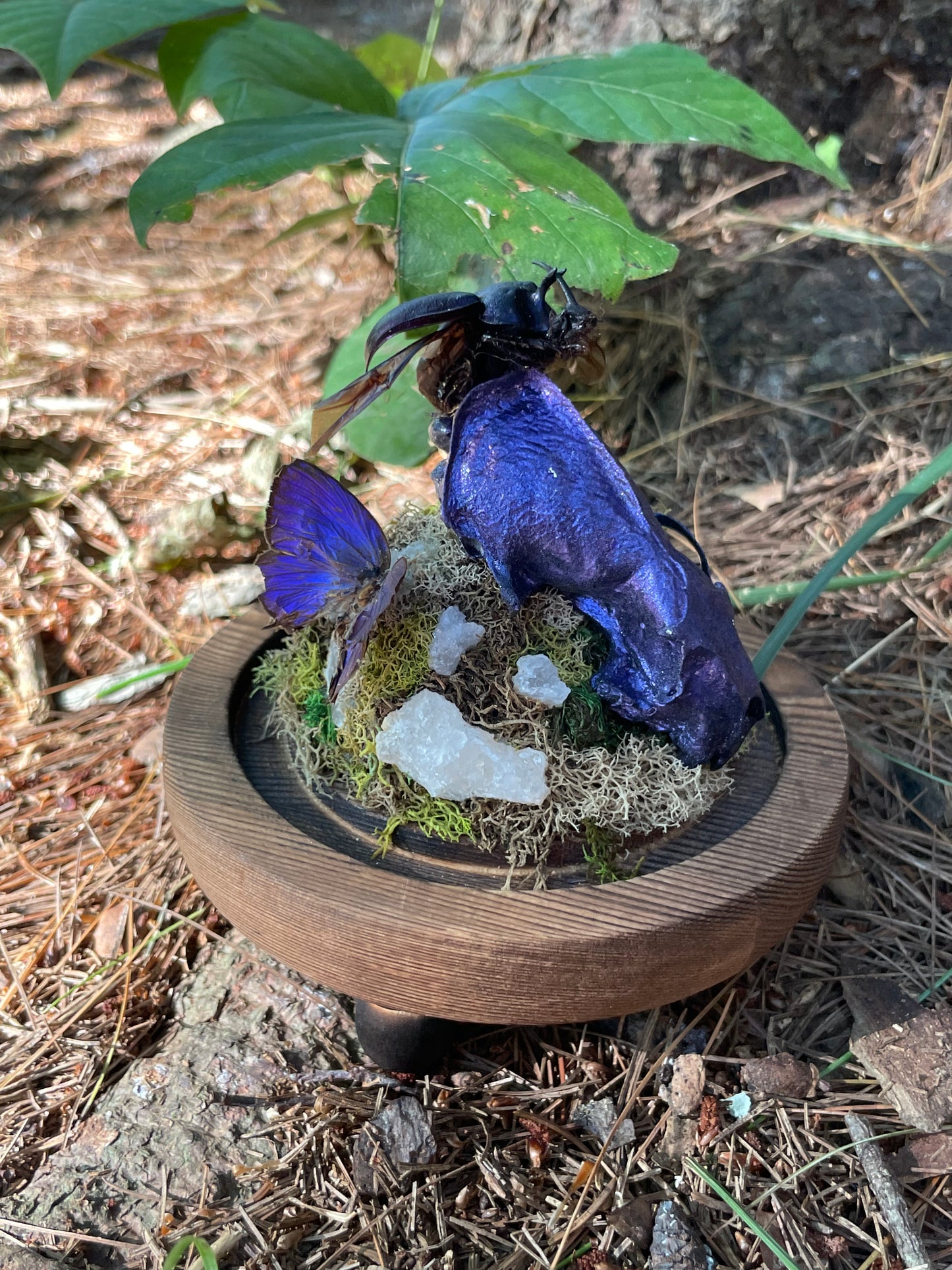 Iridescent Mink Skull, Beetle, and Butterfly Geode Cloche Display