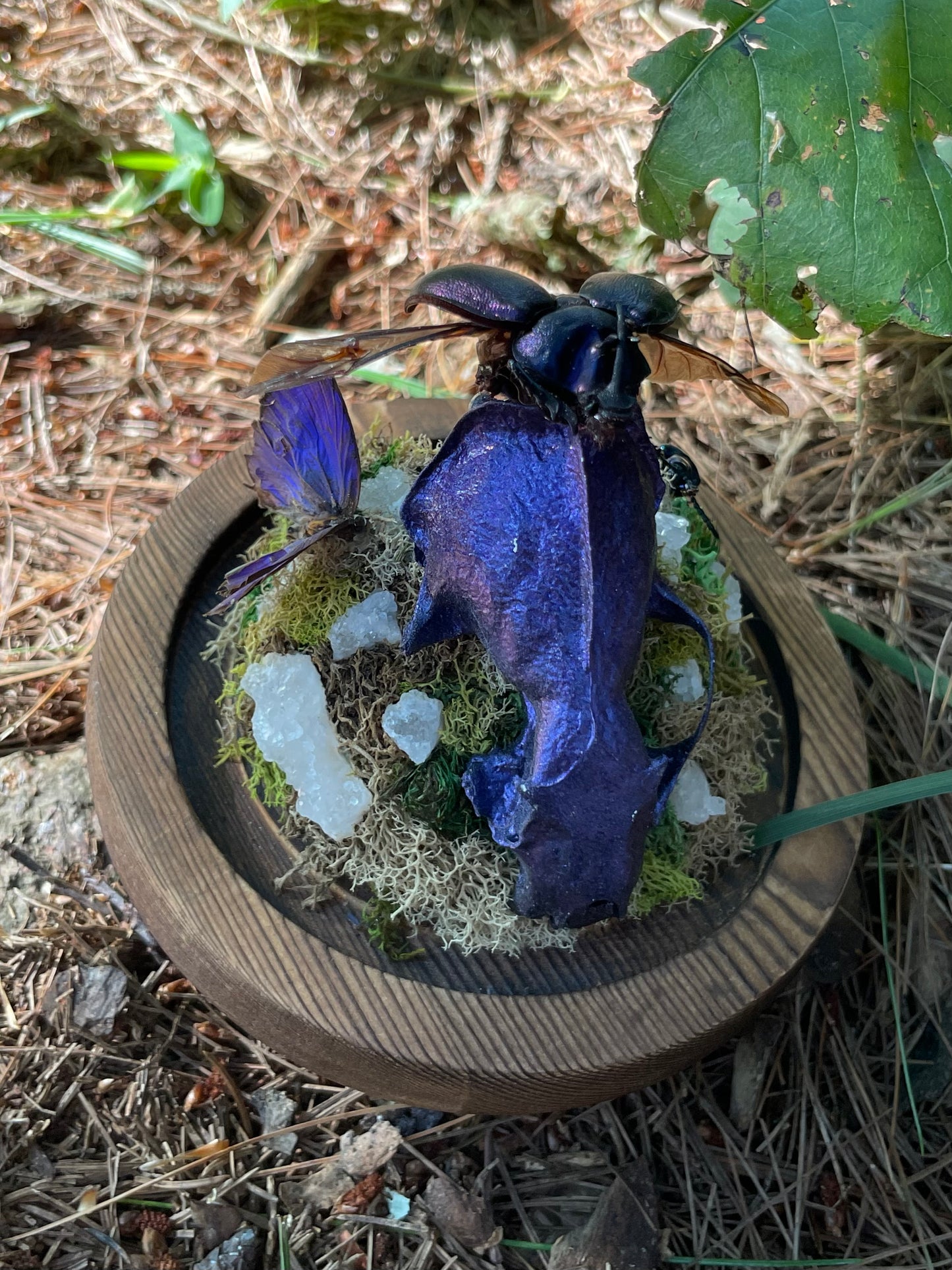 Iridescent Mink Skull, Beetle, and Butterfly Geode Cloche Display