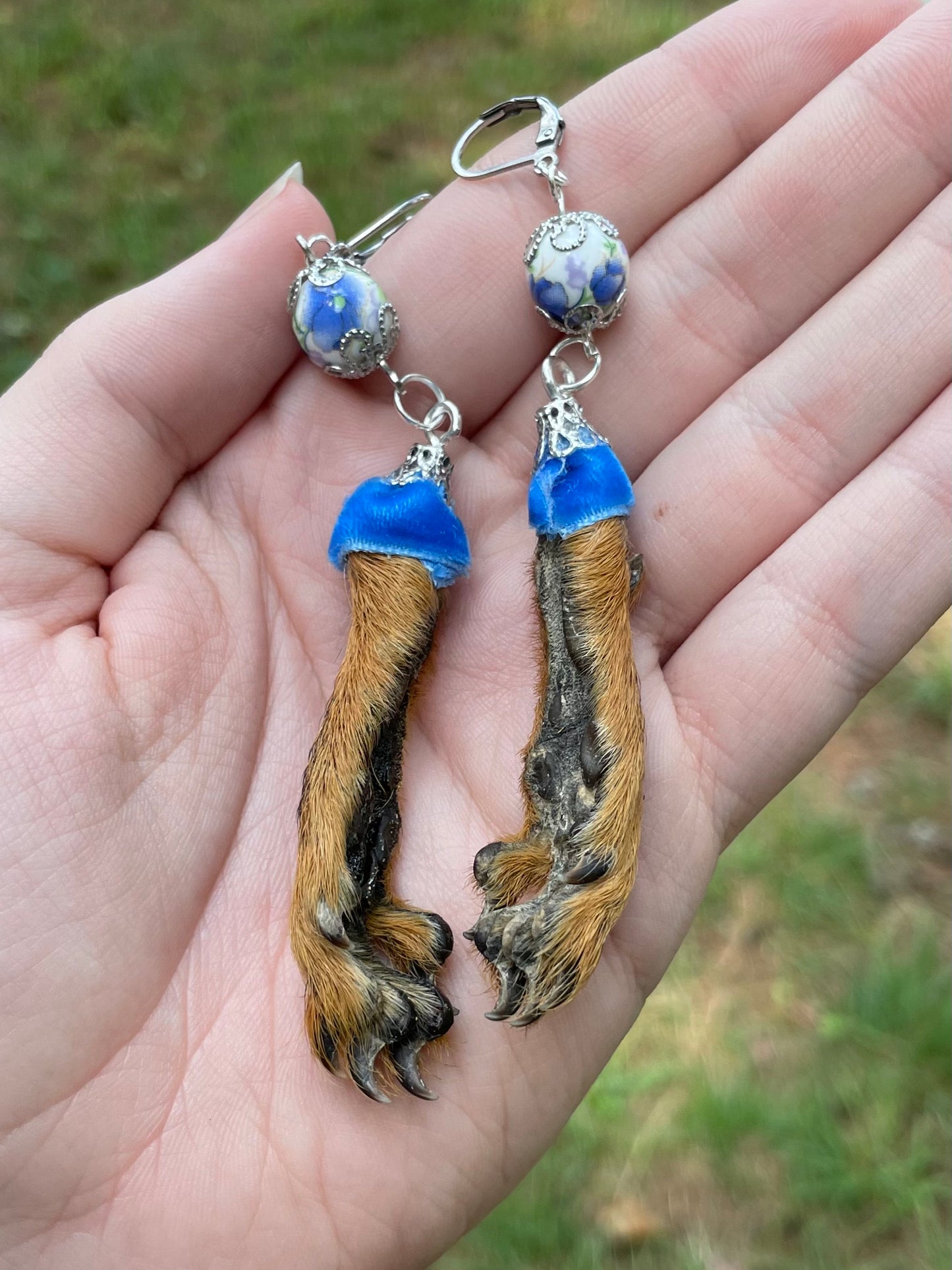 Royal Blue Mummified Red Squirrel Paw Earrings