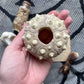 Variety Oddity Box with Mink Paw, Turkey Bone, Snake Shed