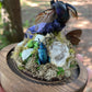 Iridescent Mink Skull, Beetle, and Butterfly Geode Cloche Display