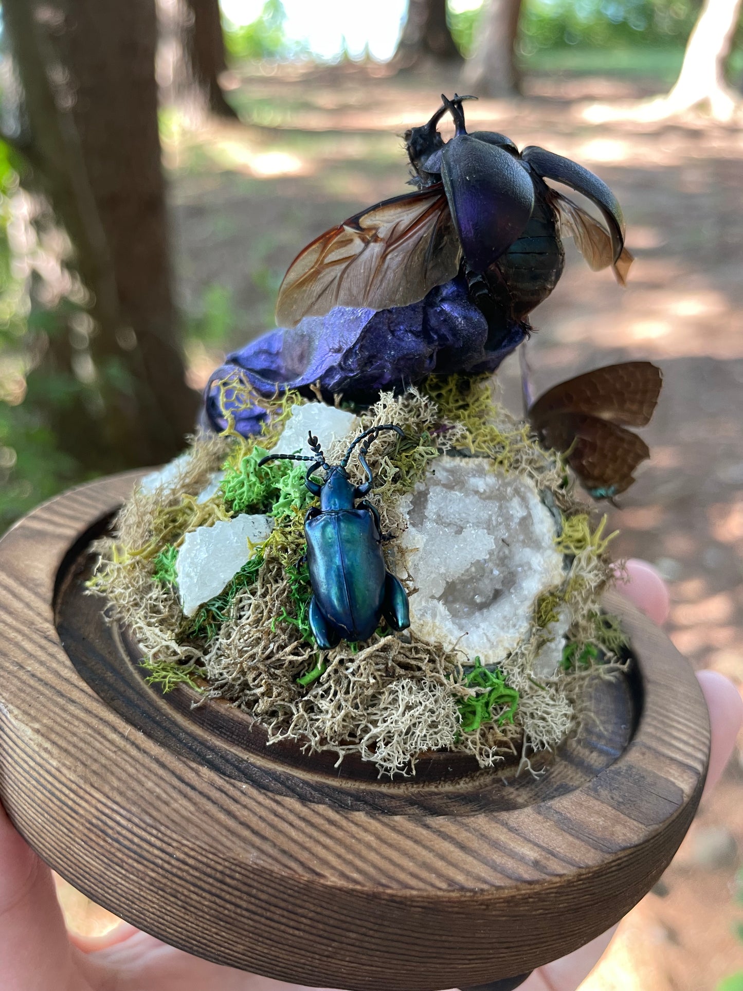 Iridescent Mink Skull, Beetle, and Butterfly Geode Cloche Display