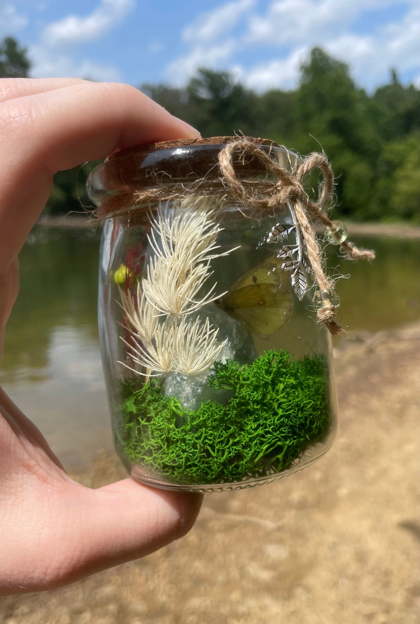 Green Flourite Butterfly Jar Displays