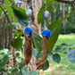 Royal Blue Mummified Red Squirrel Paw Earrings