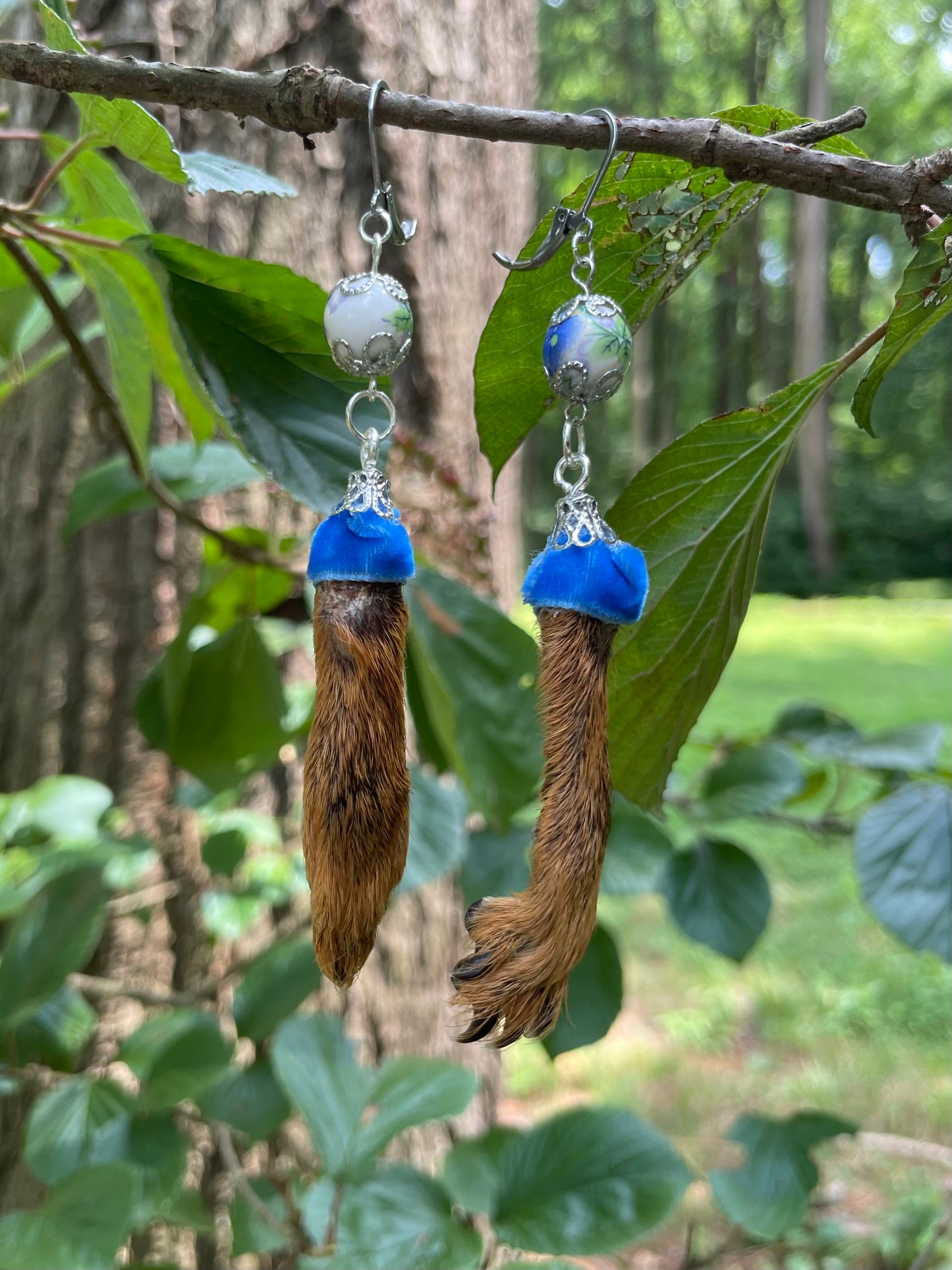 Royal Blue Mummified Red Squirrel Paw Earrings