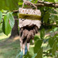 Mummified Badger Paw Ornament