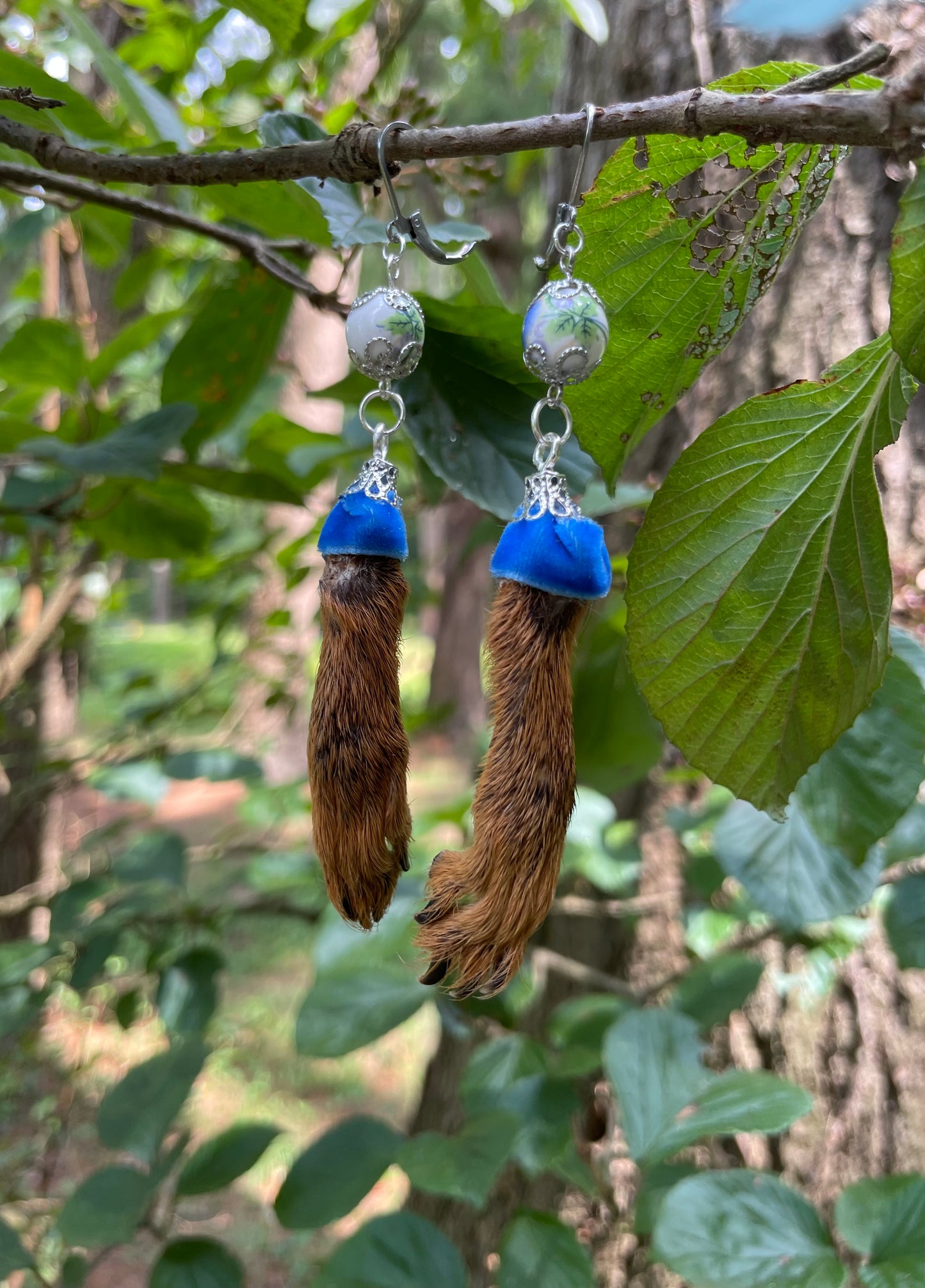 Royal Blue Mummified Red Squirrel Paw Earrings