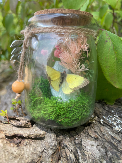 Green Flourite Butterfly Jar Displays