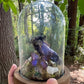 Iridescent Mink Skull, Beetle, and Butterfly Geode Cloche Display