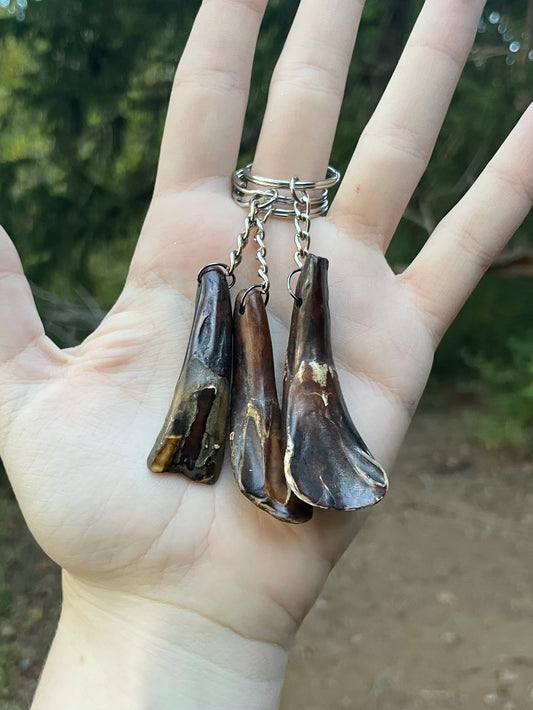 Buffalo Tooth Keychain