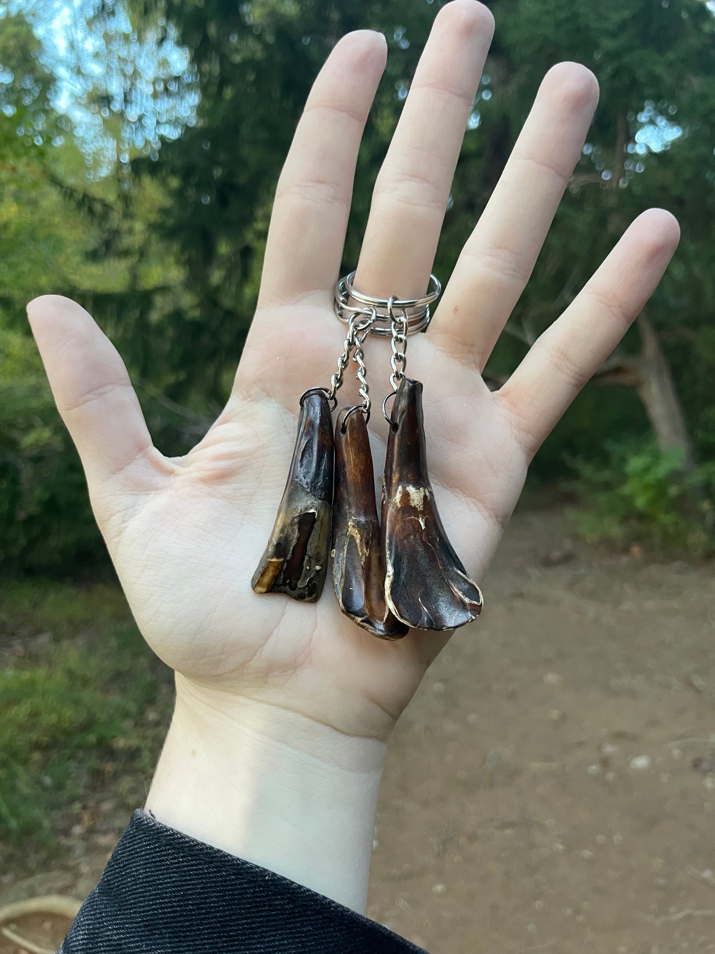 Buffalo Tooth Keychain