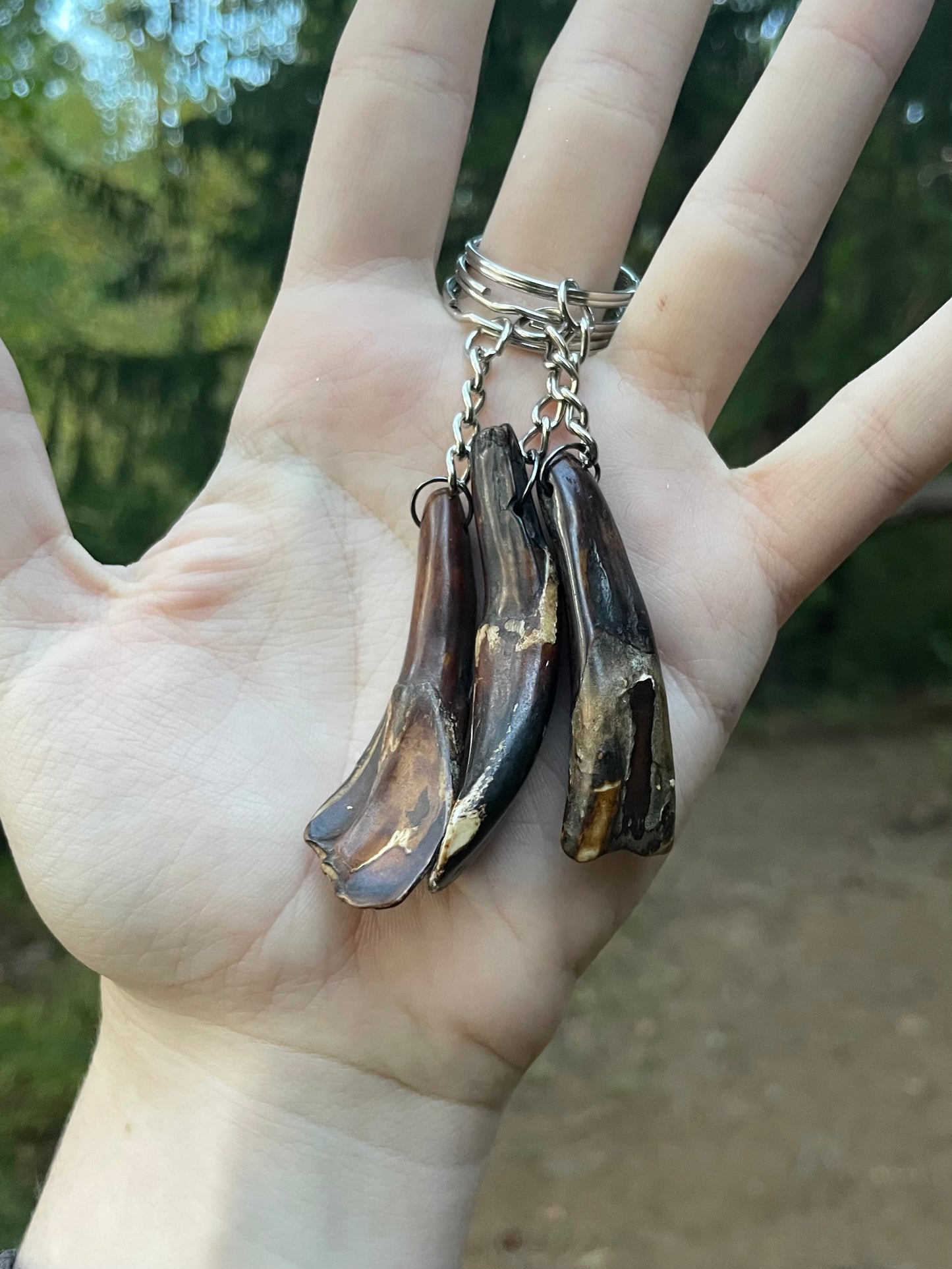 Buffalo Tooth Keychain