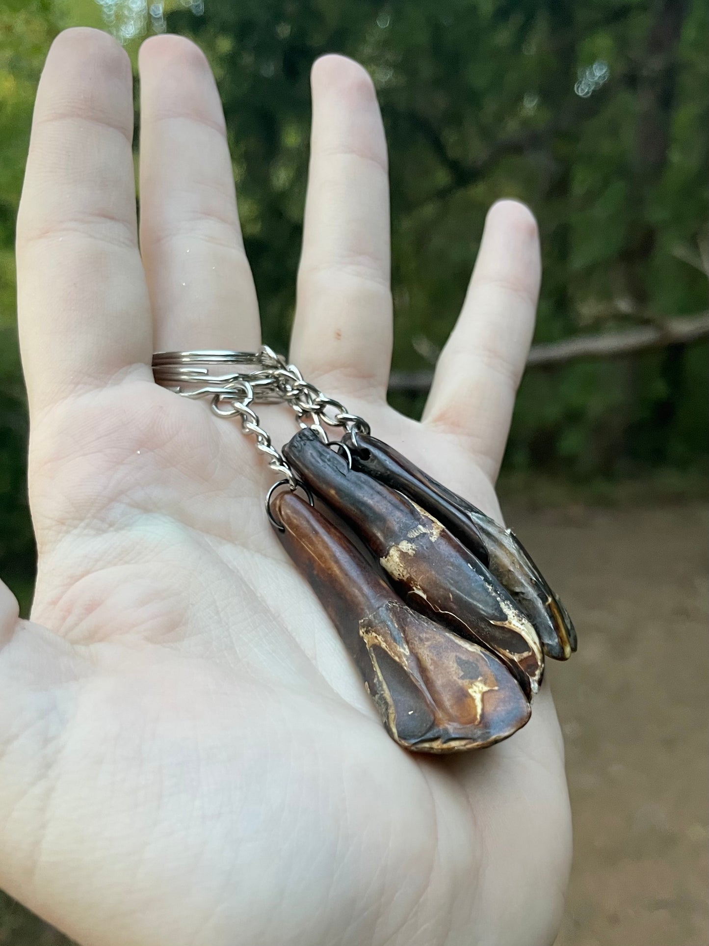 Buffalo Tooth Keychain