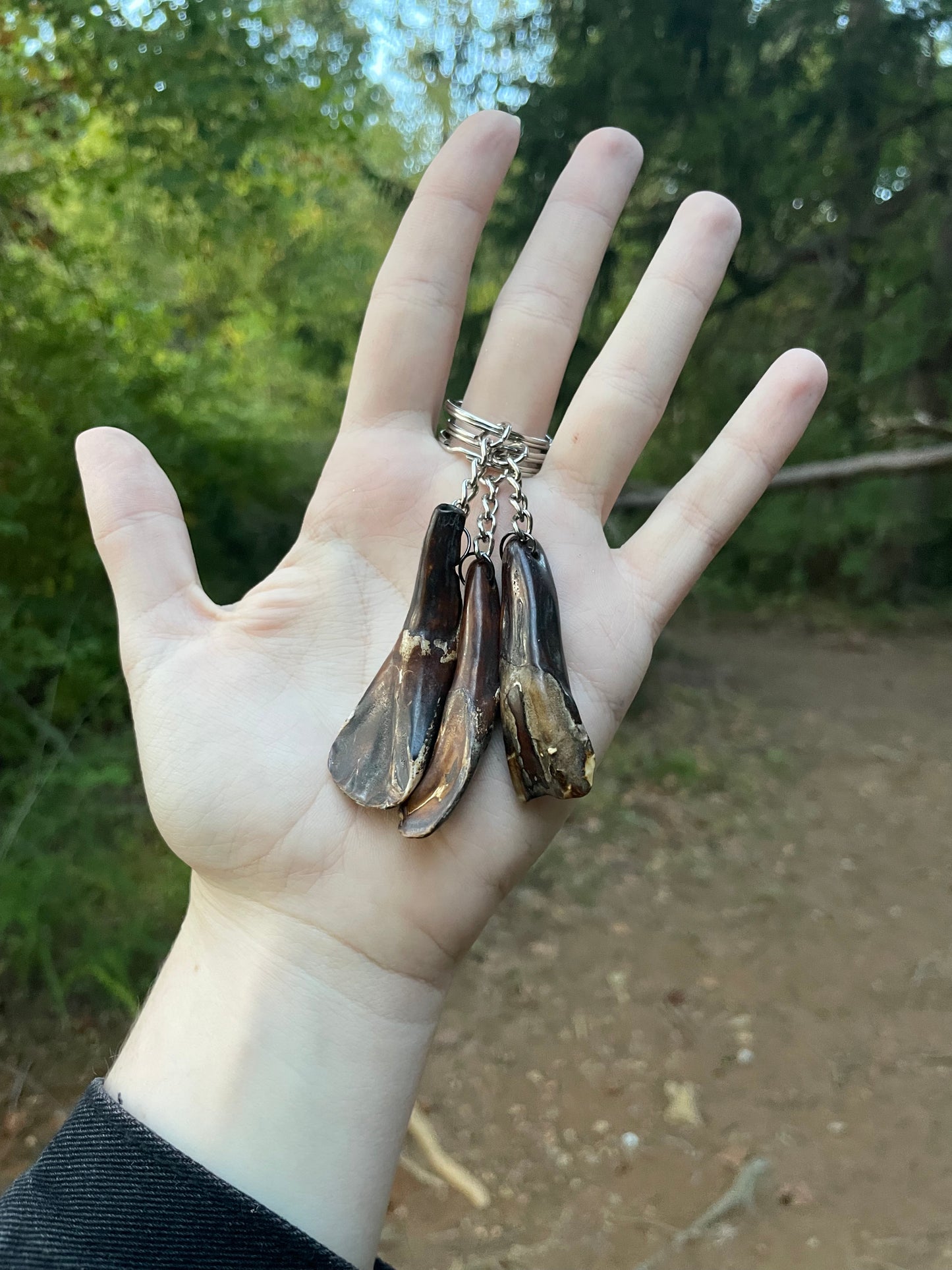 Buffalo Tooth Keychain