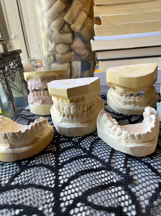 Random Dental Plaster Molds