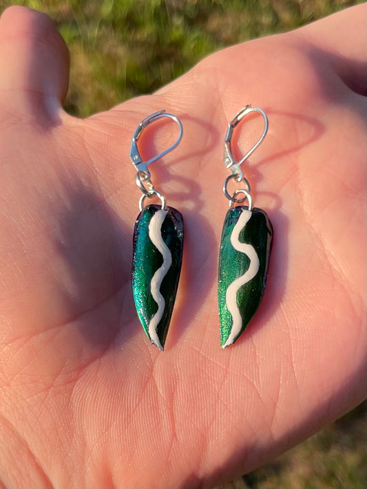 Painted Teal Jewel Beetle Wing Earrings