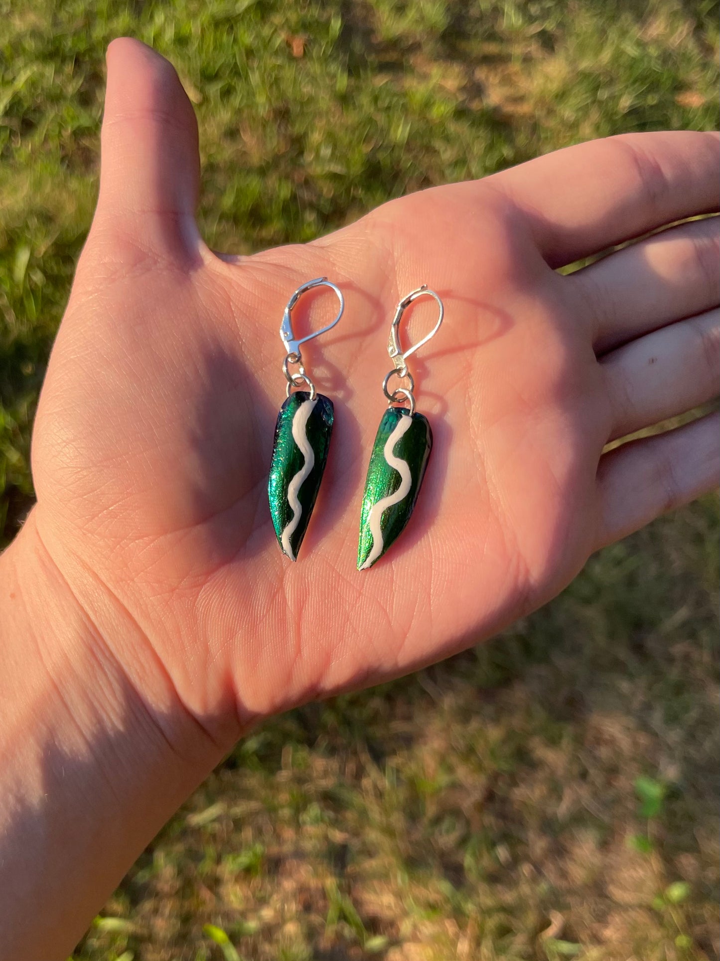 Painted Teal Jewel Beetle Wing Earrings