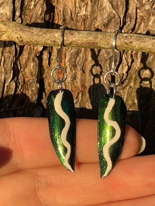 Painted Teal Jewel Beetle Wing Earrings