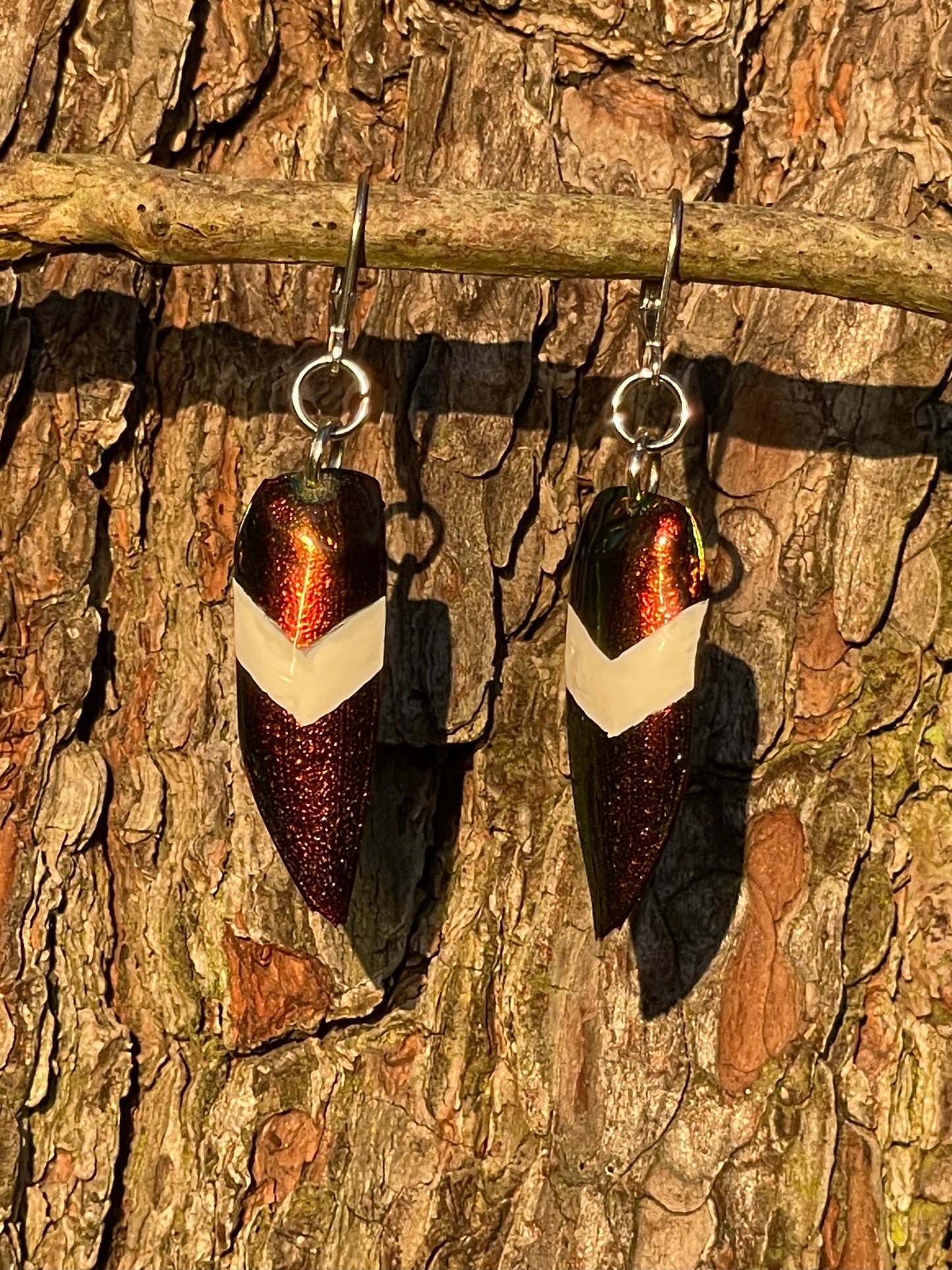 Red and Gold Painted Jewel Beetle Wing Earrings