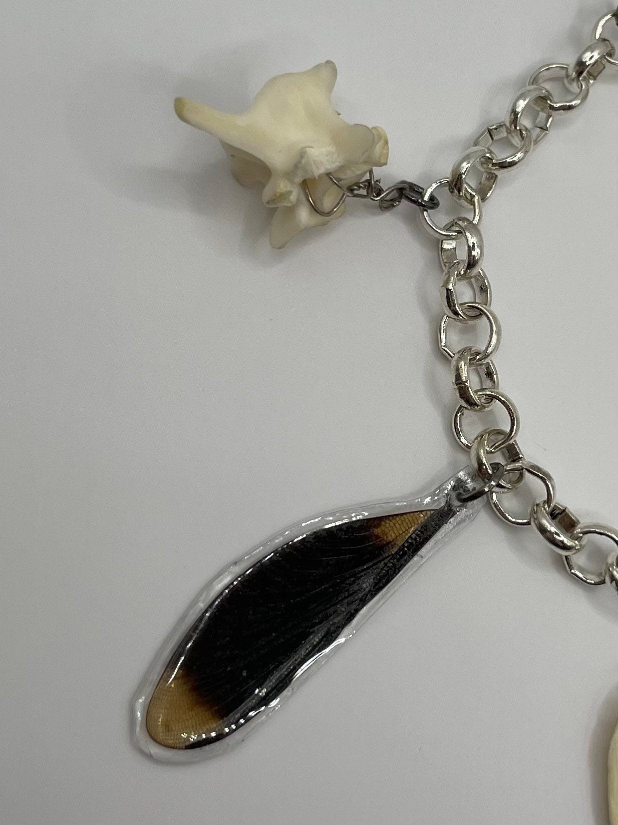 Oddity Charm Bracelet with Rodent Mandible, Butterfly Wings, Python Vertebra, and Seashell