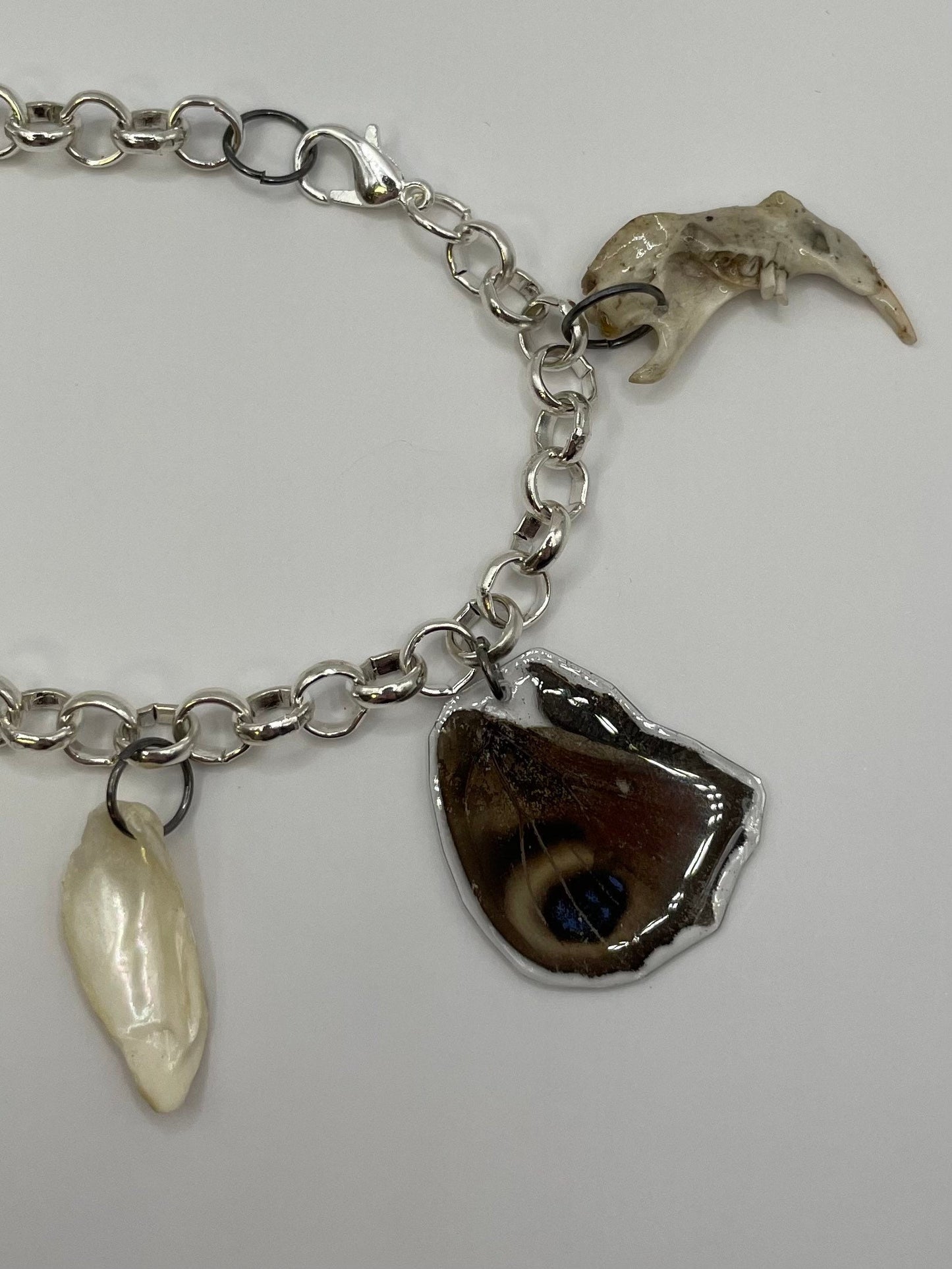 Oddity Charm Bracelet with Rodent Mandible, Butterfly Wings, Python Vertebra, and Seashell