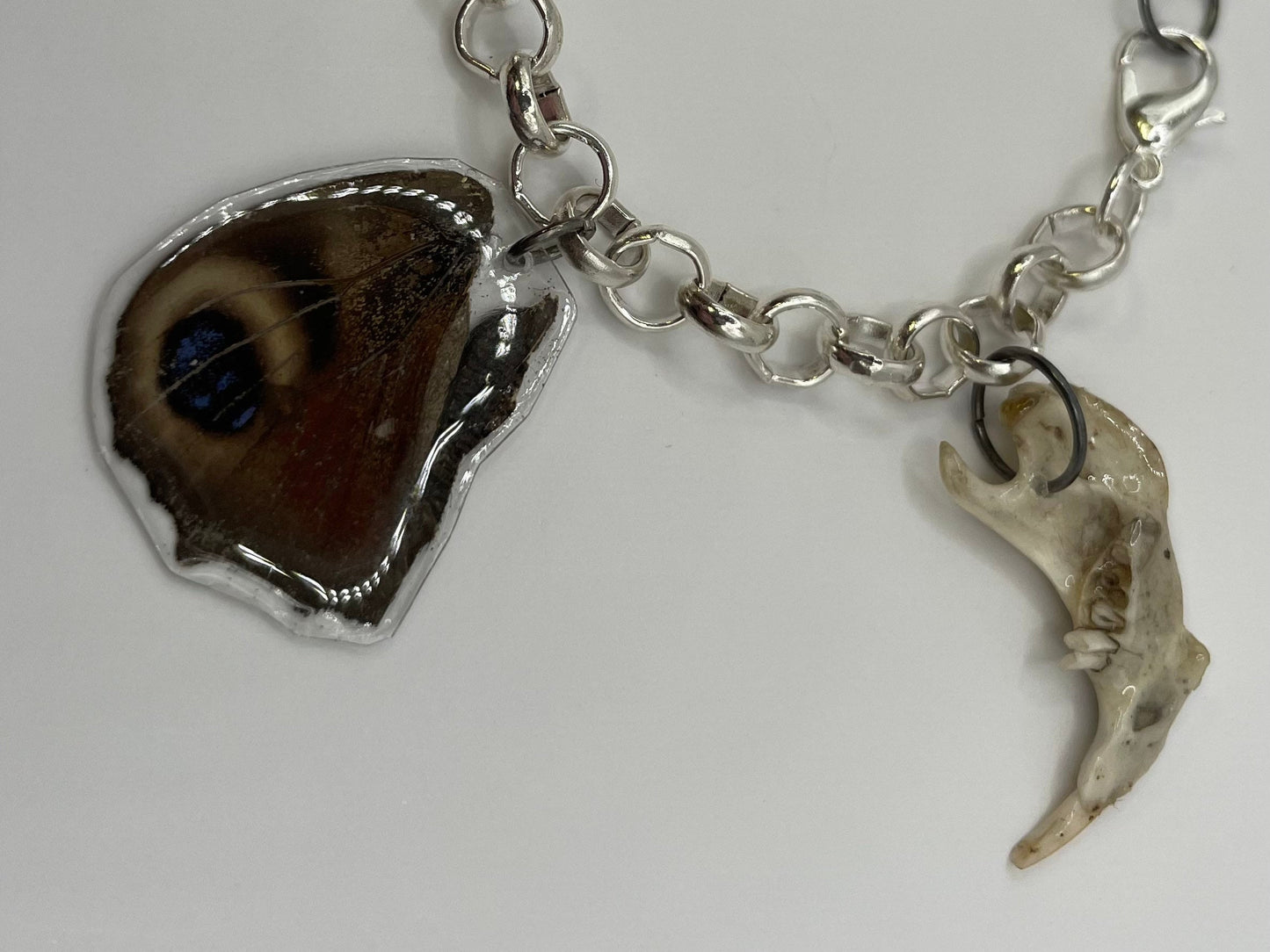 Oddity Charm Bracelet with Rodent Mandible, Butterfly Wings, Python Vertebra, and Seashell