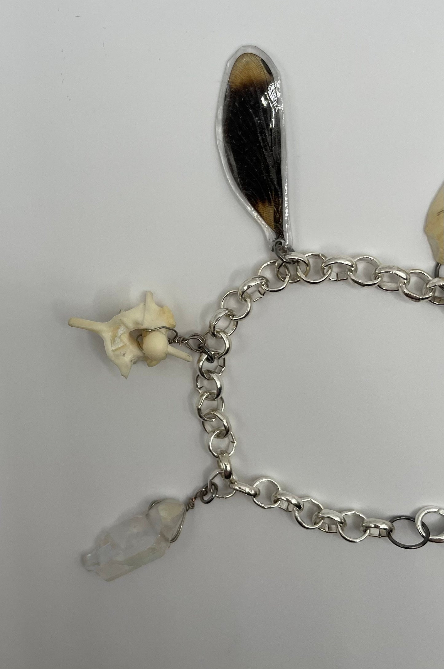 Oddity Charm Bracelet with Rodent Mandible, Butterfly Wings, Python Vertebra, and Seashell