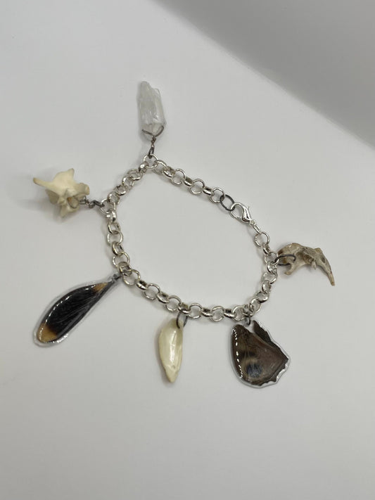 Oddity Charm Bracelet with Rodent Mandible, Butterfly Wings, Python Vertebra, and Seashell