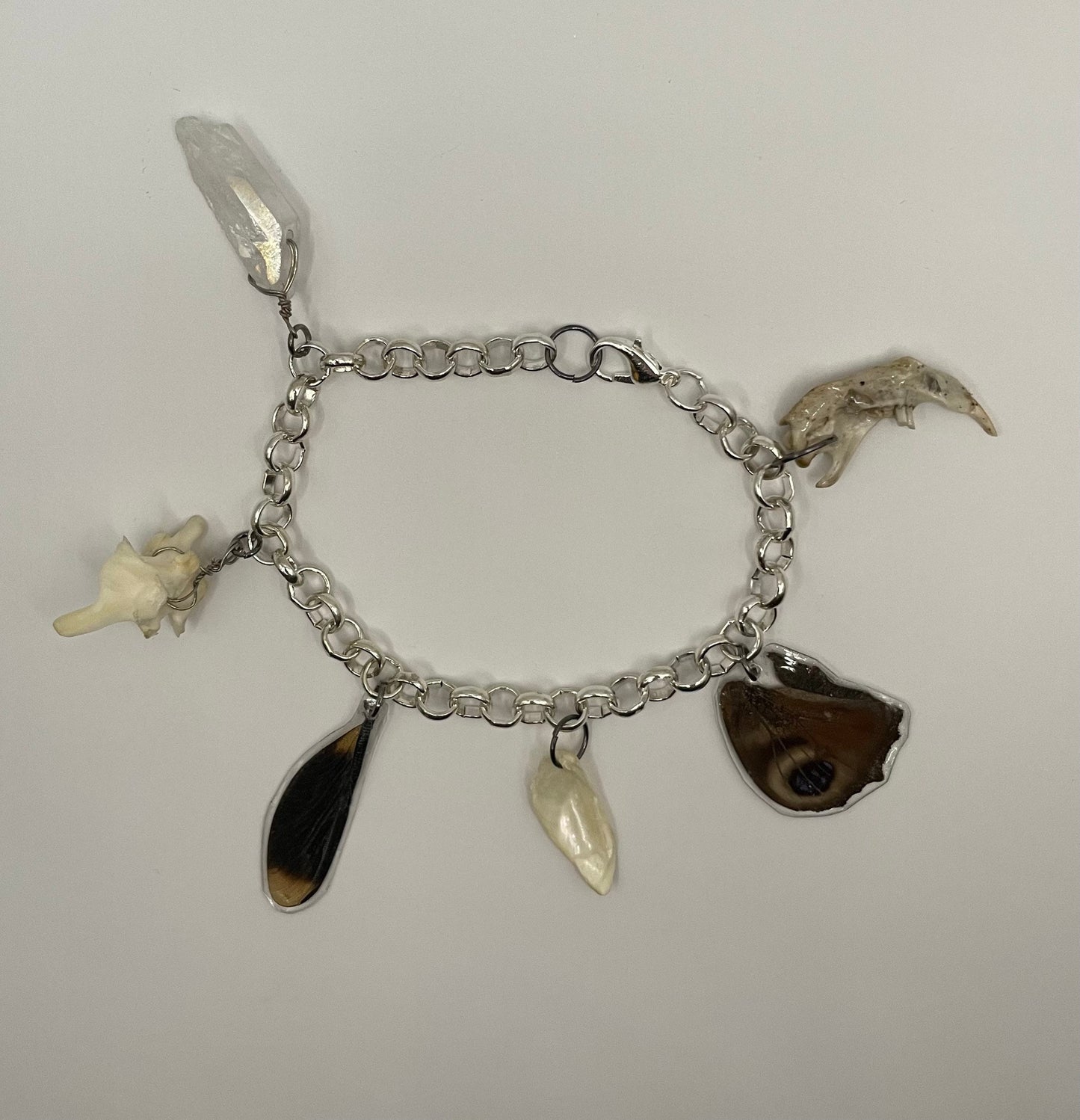 Oddity Charm Bracelet with Rodent Mandible, Butterfly Wings, Python Vertebra, and Seashell