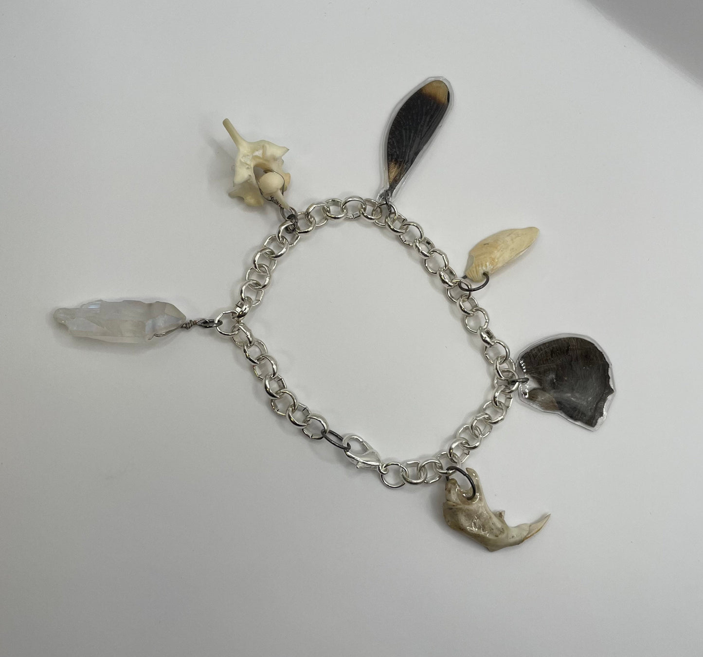 Oddity Charm Bracelet with Rodent Mandible, Butterfly Wings, Python Vertebra, and Seashell